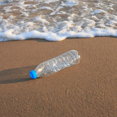 plastic-bottle-on-the-shoreline-square